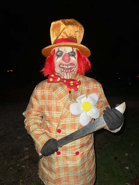 Maniacs In the Woods