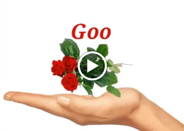 Zack's Corner Ingleburn