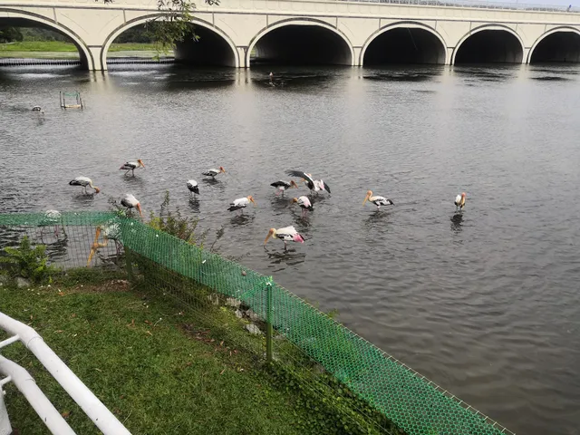 Pusat Apresiasi Wetland