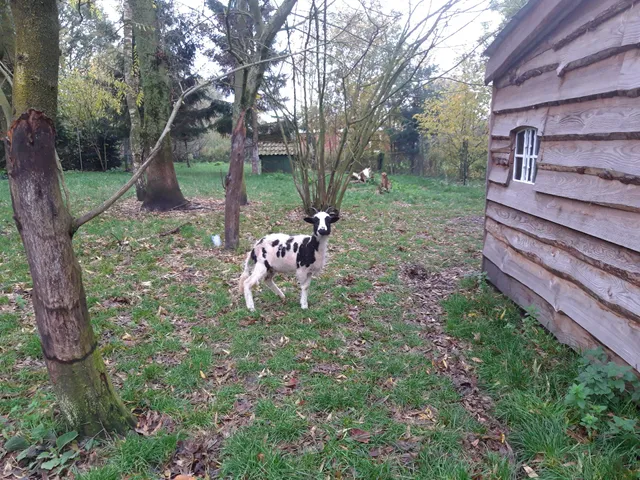 Ferienwohnung "Am Traumgarten"