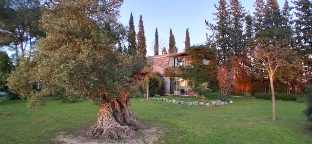 Spa apartments Roalcao 19