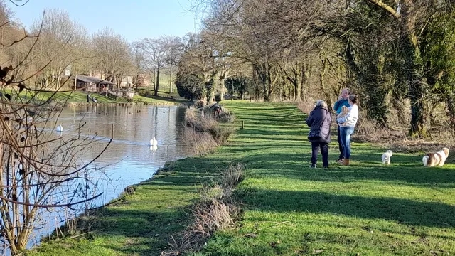 H.N. Butler Farms Ltd. T/A Meon Springs