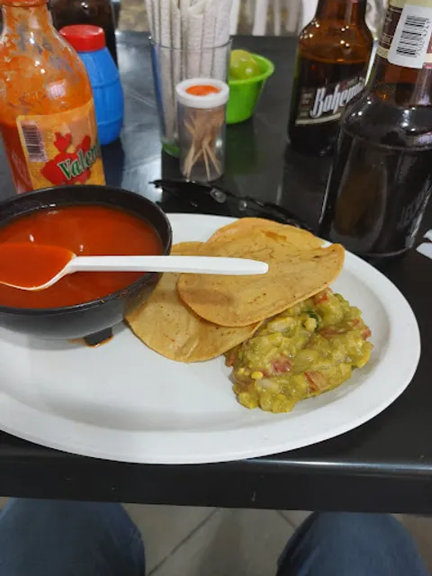 "El Oasis del Gato" cantina.