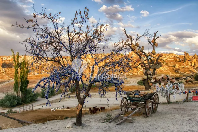 Hot Air Balloon Cappadocia | Travel Cappadocia