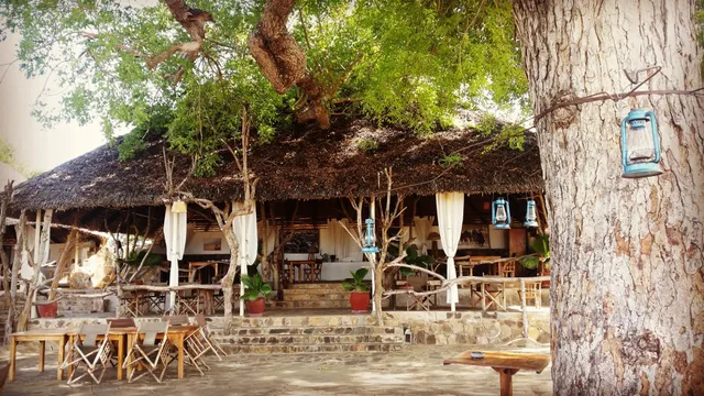 Mikumi wildlife Camp