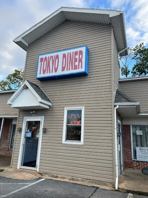 Tokyo Diner