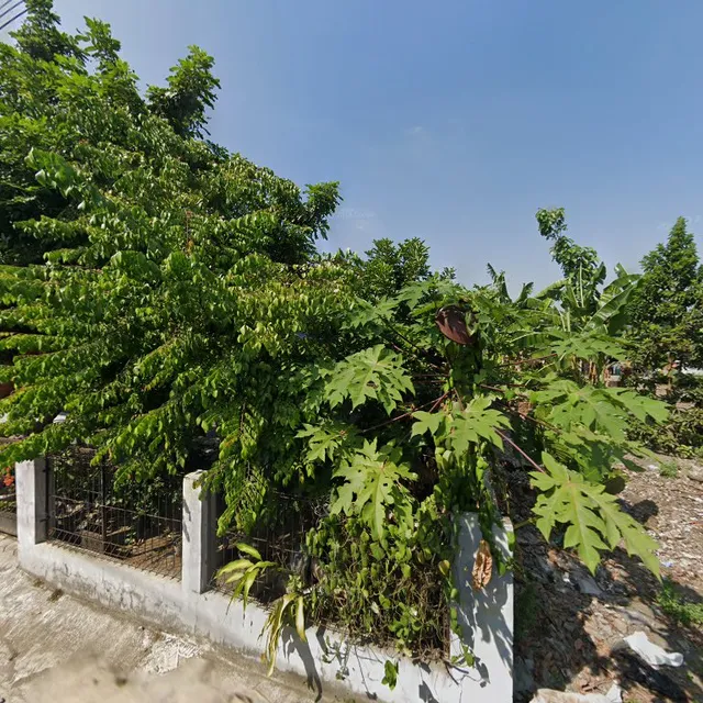 OMAH JOGLO WANUJOYO (ꦎꦩꦃꦗꦺꦴꦒ꧀ꦭꦺꦴꦮꦤꦸꦗꦺꦴꦪꦺꦴ)