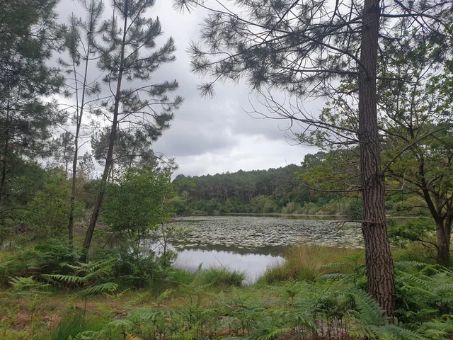 Sylvette Conciergerie Les Arbousiers