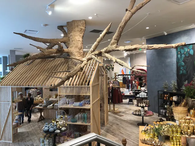 Anthropologie