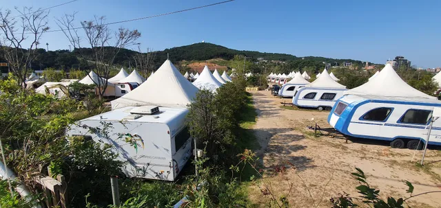 왕산오토캠핑장