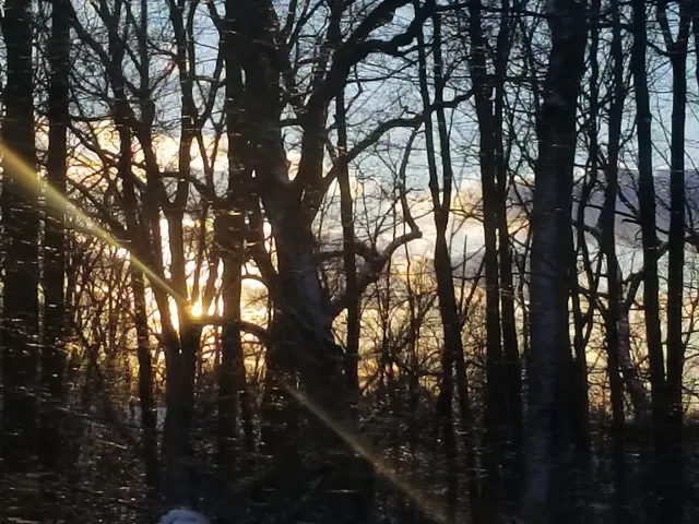 Tri-Borough Road Cloverleaf Interchange