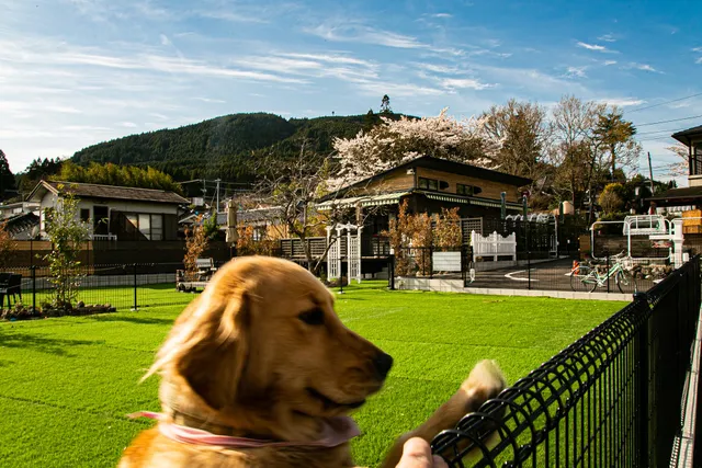 由布院の温泉旅館併設 持ち込みBBQ&和牛焼肉料理コース「ワンちゃんにもおすすめ」
