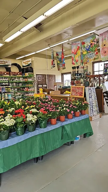 Mayflowers Nursery & Garden