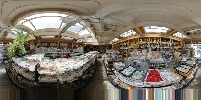 Susu’s Studio & Design