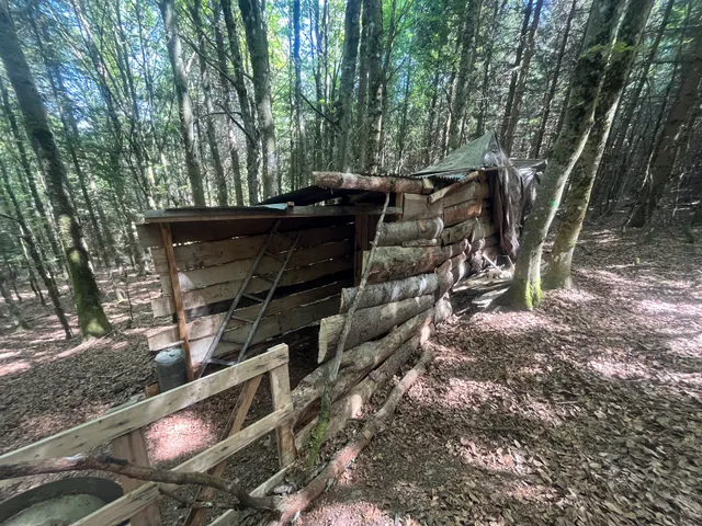 Foretscape - Le Gardien des Vosges