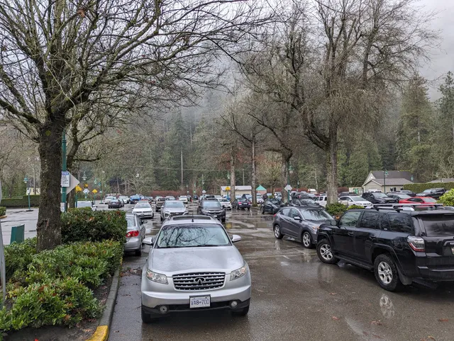 Harrison Hot Springs Resort Parking - Lot #1677