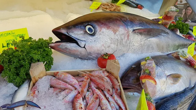 Beyaz Yelken Balık & Meze Gaziemir