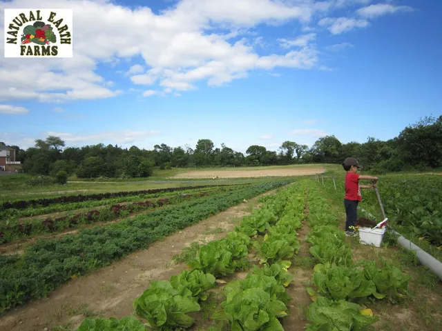 Natural Earth Organic Farms - Certified Organic Produce
