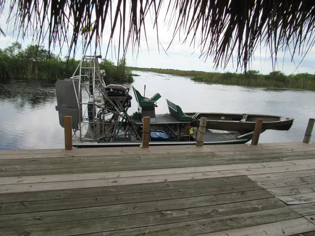 Buffalo Tiger Airboat Tours