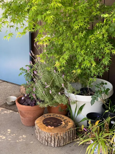 Ice Cream and Shoe Preschool