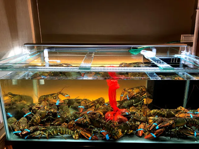 音樂盒法式鄉村餐廳