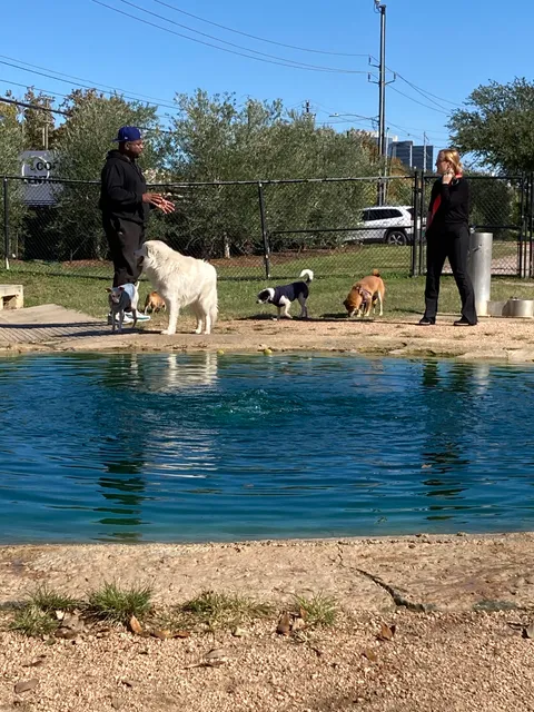 Dog park