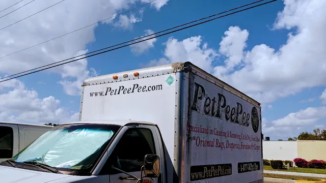 PetPeePee Oriental rug & drapery cleaning from urine odor