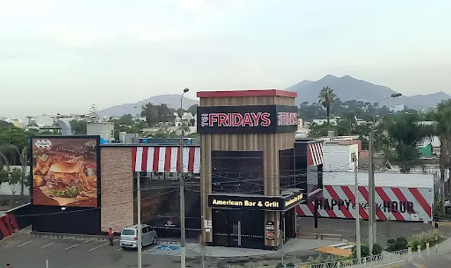 Fridays Ovalo Monitor