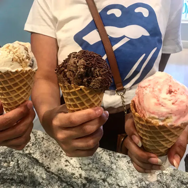 The Mint Fox Cookies & Ice Cream