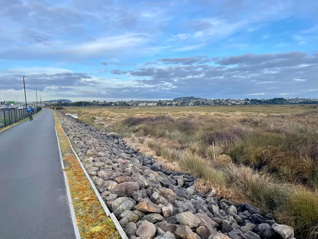 Pollen Island Marine Reserve