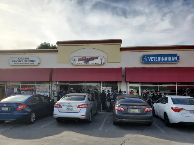 The Wrestling Guy Store