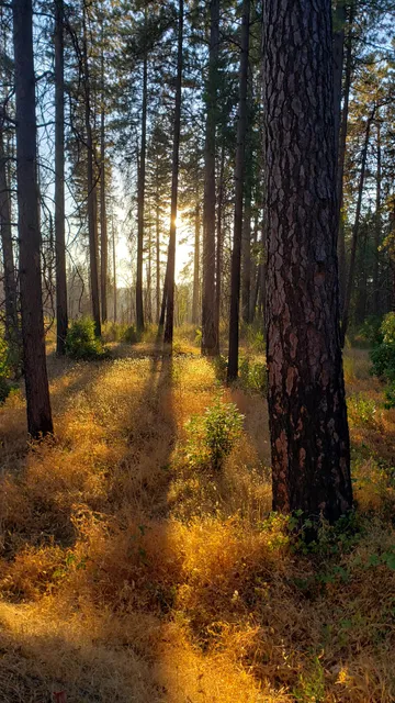 Hardrock Trail Entrance