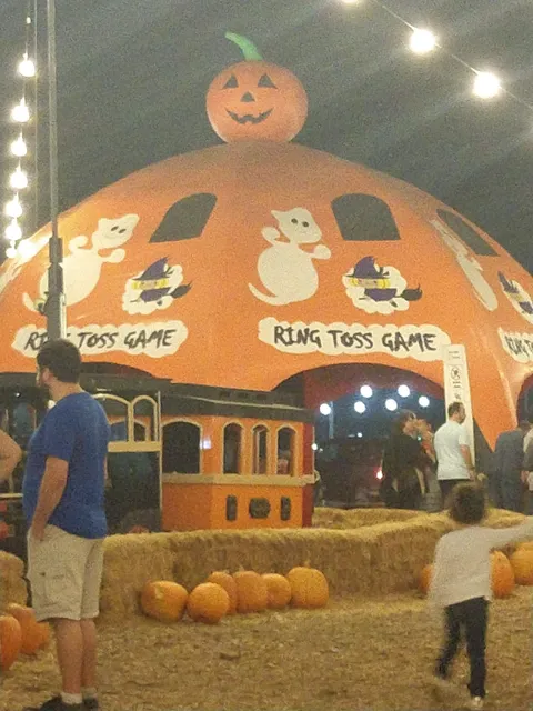 Seasonal Adventures Pumpkin Patch And Christmas Trees