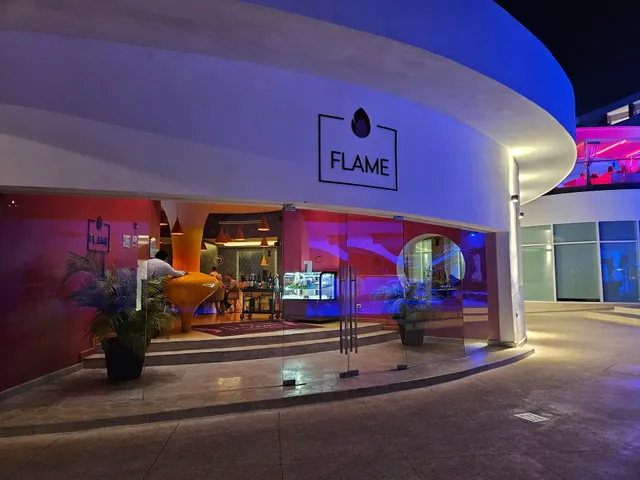 FLAME - Signature Fusion Grill
