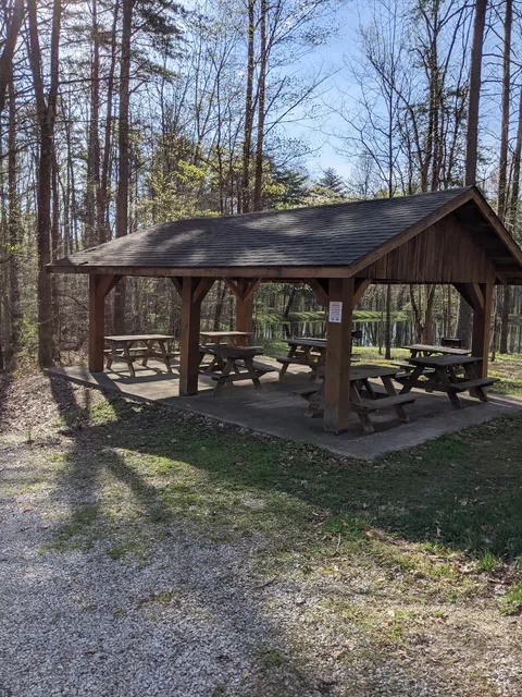 Owen-Putnam State Forest