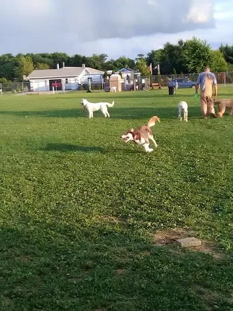 Paws 'n Play Dog Park