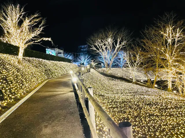 Nesta Illumina - light of walk road -