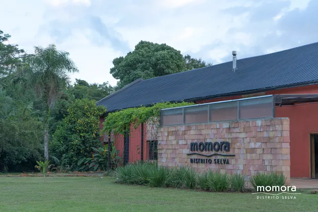 Momora Distrito Selva