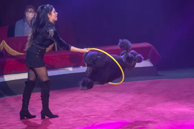 Circo Orfei Natale Catania