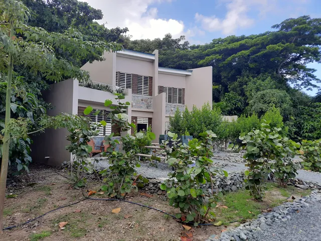 Cinnamon Bay Beach & Campground