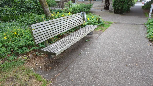 The Bench