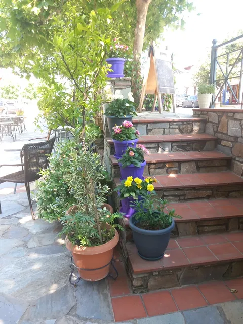 Παραδοσιακό Καφενείο ουζερί ελενη