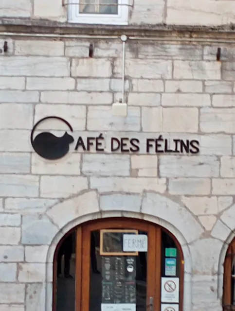 Café des Félins
