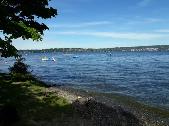 Magnuson Park Swimming Beach