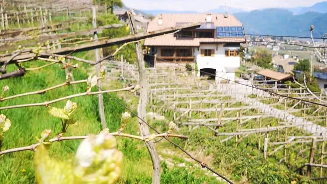 Agriturismo Finkenhof