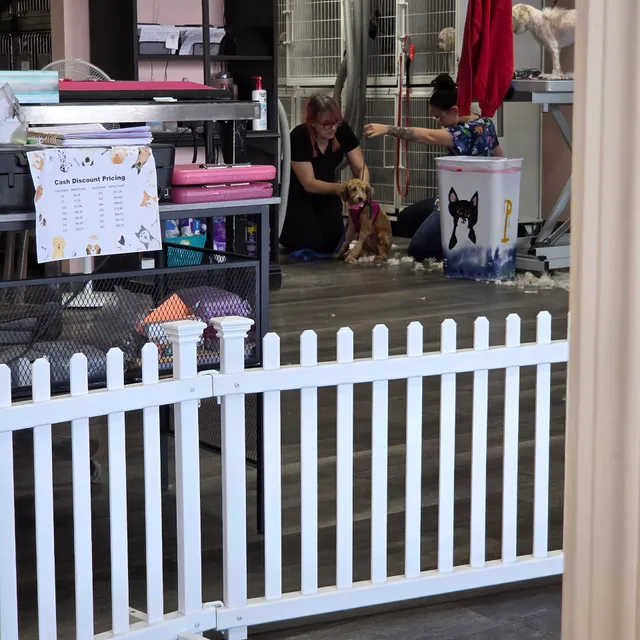 Renee's Pet Grooming Salon and Shoppe