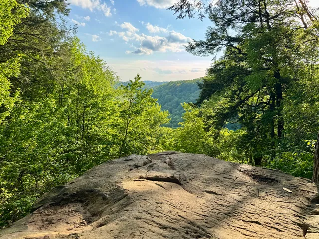 Cleland Rock Scenic Vista
