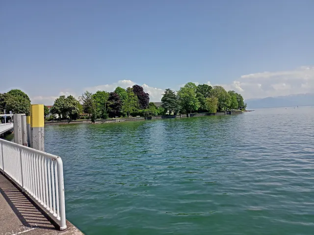 Grete und Reinhard Gierer