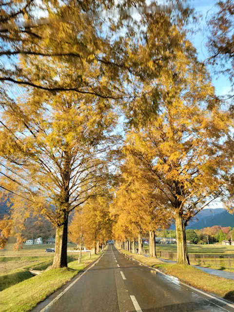 マキノピックランド 駐車場
