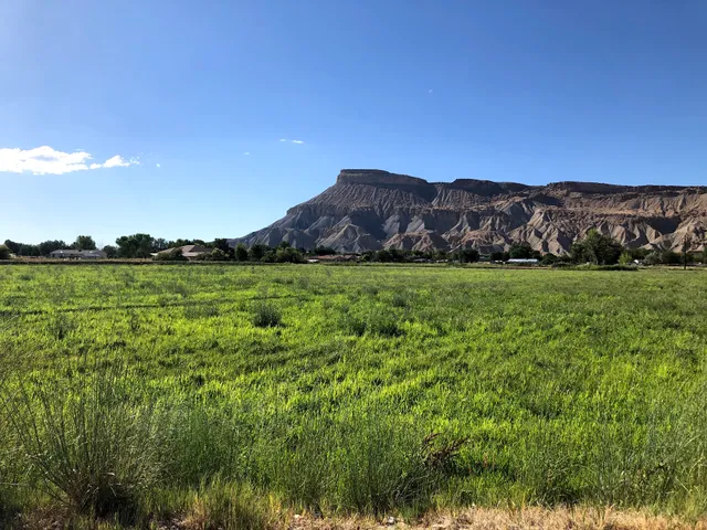 Palisade River Ranch